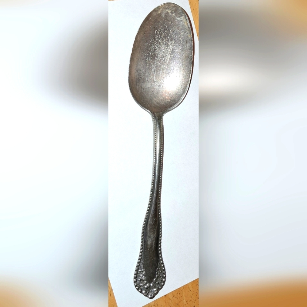 WM. ROGERS...SERVING SPOON  1960s Vintage